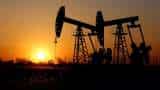 Oil companies to turn profitable on fuel marketing in FY24: Fitch