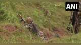 J-K encounter: Search for other terrorists on in Rajouri, says Indian Army