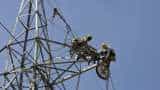 Torrent Power net up 6% to Rs 532 crore in June quarter