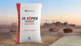 JK Cement Q1 Results: Profit slips 29.4% to Rs 113.46 crore
