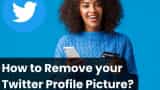 How To Remove Twitter Profile Picture [Pic, Photo]