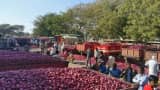 India imposes 40% export duty on onions to calm rising prices