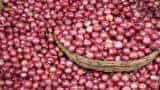 NCCF to sell buffer onion at subsidised rate of Rs 25/kg in Delhi from Monday