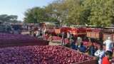 Additional 2 lakh tonnes onion procurement from farmers starts in Maharashtra