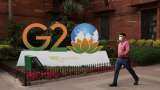 What is the G20, and what are the key issues for the 2023 Delhi summit?