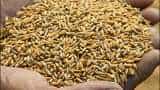 Government&#039;s Focus on Wheat Hoarding - 900 Inspections by September 5th?