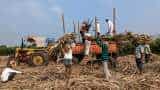 Sugar output in Maharashtra set to fall to lowest in 4 years after dry August 