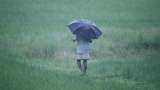 Weather Update: Heavy rains lash Nagpur, several areas waterlogged 