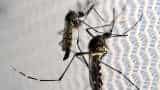 Dengue cases in Bengal top 38,000 mark
