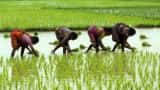 India to cut floor price for basmati rice exports - sources