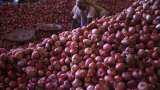 Government exempts &#039;Bangalore Rose&#039; onion from export duty