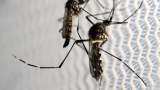 Jharkhand reports 70 fresh cases of dengue 