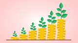 Groww surpasses Zerodha in active investor count Groww surpasses Zerodha in active investor count