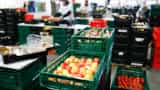 German wholesale prices fall sharpest in 3 years