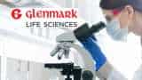 Glenmark Life Sciences Q2 PAT rises 11% to Rs 119 crore