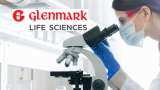 Glenmark Life Sciences Q2 PAT rises 11% to Rs 119 crore