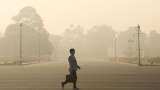 Delhi ready for Dussehra in &#039;very poor&#039; air quality 