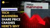Tech Mahindra Share Price Takes a Nosedive After Disappointing Earnings Report