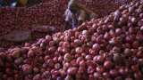 Govt imposes minimum export price of $800 per tonne on onion to maintain domestic availability