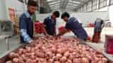 India sets $800 per ton minimum export price on onions till end-December