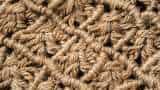 Minimum support price on raw jute to remain in force till January 31