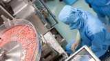 Sun Pharma Q2 net up 5% at Rs 2,375 crore