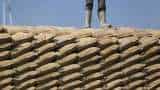 India Cements narrows down Q2 loss to Rs 85.54 crore, revenue dips 4.7% to Rs 1,264.39 crore