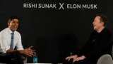 AI most &#039;destructive force&#039; in history, may take away all jobs: Musk tells Sunak