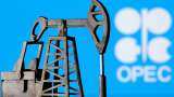 OPEC+ expects global economy to weather challenges