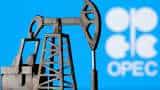 OPEC+ expects global economy to weather challenges