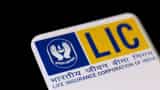 LIC exploring possibility of setting up fintech arm: Chairman 