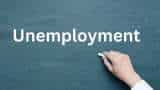 Unemployment rate dips to 6.6% in September quarter: Govt Survey 