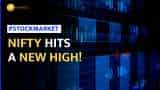 Nifty Soars to New Heights: Economic Growth and Returning FIIs Drive Market Rally