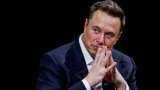 X to target SMBs for ads after Musk&#039;s outburst against big brands
