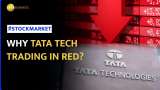 Tata Tech Stock Tanks Despite Market Rally: Why the Plunge? | Stock Market News