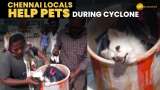 Cyclone Michaung: Chennai Locals Brave Floods to Save Pets Amid Cyclone