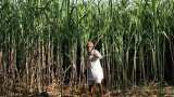 Government curbs ethanol production from cane juice to boost sugar supplies