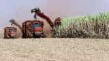Curb on cane juice for ethanol may reduce blending but boost sugar production: Crisil
