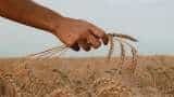 Food Corporation of India boosts market supply through e-auctions of wheat, rice