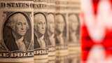Dollar steadies as stocks slip