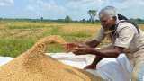 Agri exports likely to reach USD 53 billion this fiscal despite curbs on key commodities: Official 