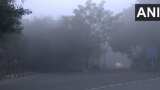 Cold wave tightens grip on north India, Delhi shivers in dense fog with &#039;Very Poor&#039; air quality