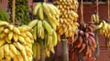 India aims at $1 billion fresh banana exports in next 5 years 