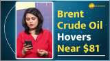 Commodity Capsule: Brent Crude Oil Hovers Near $81 amid Red Sea vessel attacks