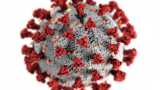 Delhi reports first case of COVID-19 sub-variant JN.1: Minister Saurabh Bharadwaj Delhi reports first case of COVID-19 sub-variant JN.1: Minister Saurabh Bharadwaj