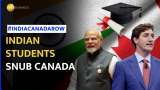 India-Canada Tensions: 86% Drop In Study Permits As Indian Students Snub Canada