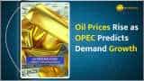 Commodity Capsule: Gold Holds Near Lows as Rate Cut Hopes Fizzle