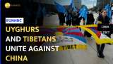 Uyghurs and Tibetans Hold Anti-China Protest At UN Human Rights Council in Geneva