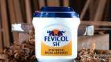Pidilite stock gets boost after Fevicol maker reports good December-quarter results