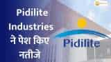Pidilite Industries Q3 Results Analysis: Key Triggers and Focus Areas Revealed! 
